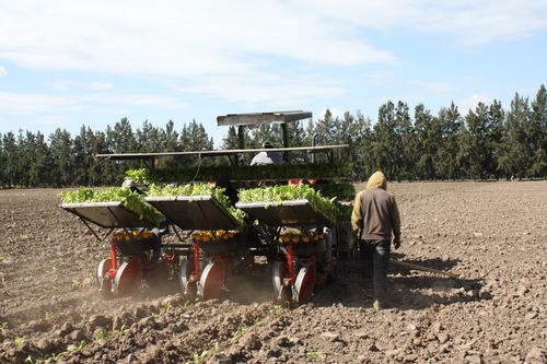 專項(xiàng)資金助力煙葉生產(chǎn)與飼料銷售，阿根廷農(nóng)業(yè)迎來(lái)新發(fā)展機(jī)遇