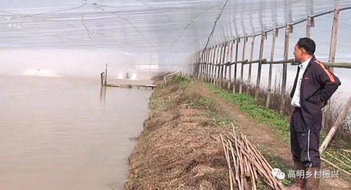 水產養殖防寒策略與畜牧漁業飼料銷售調整指南